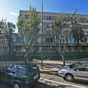 Pietrusia Browki Street, 10, : foto
