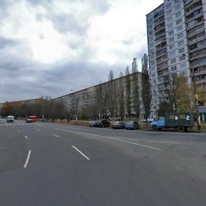 Koltsova Boulevard, 19, Kyiv: photo