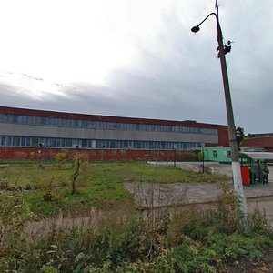 Lapina Street, 58, Orehovo‑Zuevo: photo