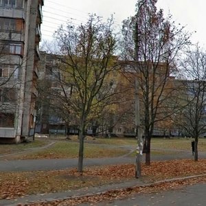 Kosmonavta Volkova Street, 24, : foto