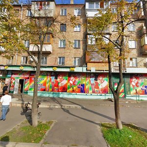 Teshebaieva Street, 60, Kyiv: photo