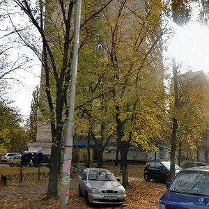 Rusanivska Embankment, 16, Kyiv: photo