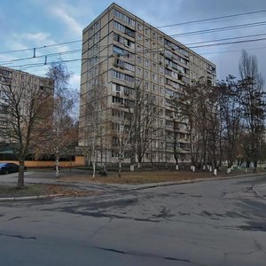 Vasylia Poryka Street, No:16, Kiev: Fotoğraflar