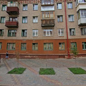 Vulica Karpovicha, 17, Gomel: photo
