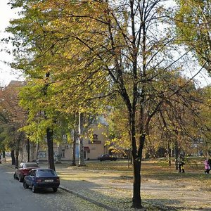 Poshtova vulytsia, No:38, Zaporoje: Fotoğraflar