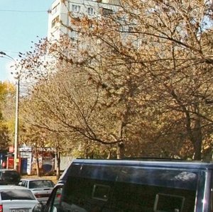 Georgiya Dimitrova Street, 69 ، سامارا: صورة