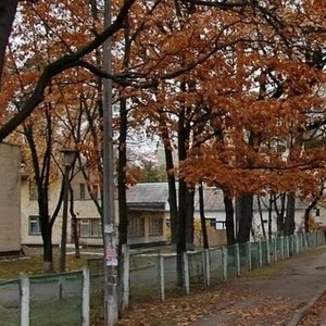 Mykhaila Kotelnykova Street, 16, Kyiv: photo