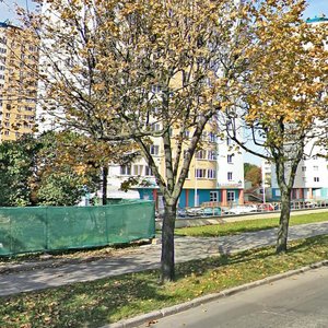 Prytyckaga Street, 2к1, Minsk: photo