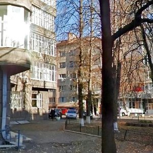 Pylypa Orlyka Street, 9, Kyiv: photo