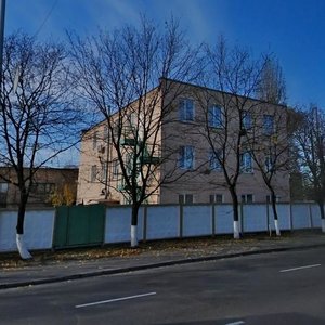 Mezhihirska Street, 87, Kyiv: photo