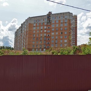 Stepana Stepanova Street, 4, Lytkarino: photo