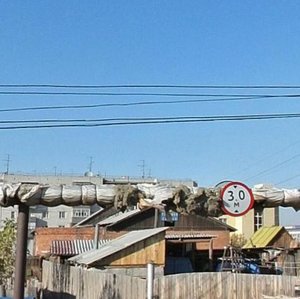 Ulitsa Nekrasova, 65, : foto