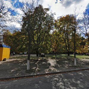 Svitlytskoho Street, 25, Kyiv: photo