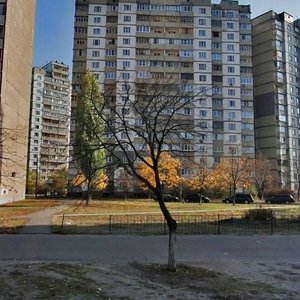 Onore De Balzaka Street, 54, Kyiv: photo