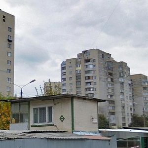 Simi Sosninykh Street, 3А, Kyiv: photo