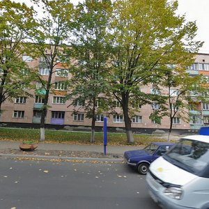 Ivana Mazepy Avenue, 2, Vyshhorod: photo