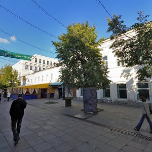 Moskovskaya Street, 63, Penza: photo