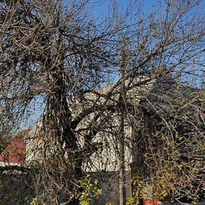 Avtostradna vulytsia, 129 ، زابوروجي: صورة
