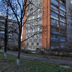 Volkova Street, 1к3, Tula: photo