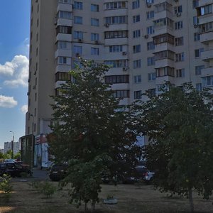 Larysy Rudenko Street, 1/24, : foto