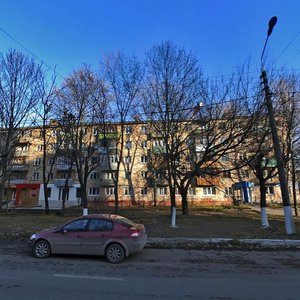 Frunze Street, 27, Tula: photo