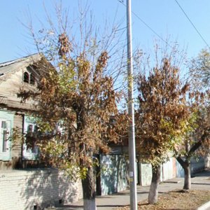 Moskovskaya Street, 29, : foto