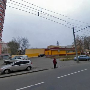 Mykoly Holeho Street, 2/6, : foto
