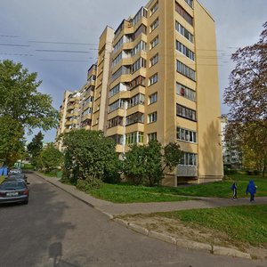 Zhudro Street, 49, Minsk: photo