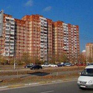 Volodymyra Maiakovskoho Avenue, 69, Kyiv: photo