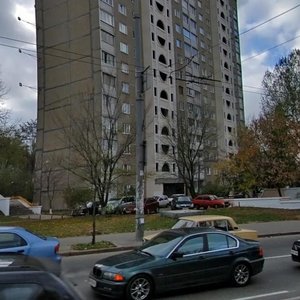 Vadyma Hetmana Street, 44, Kyiv: photo