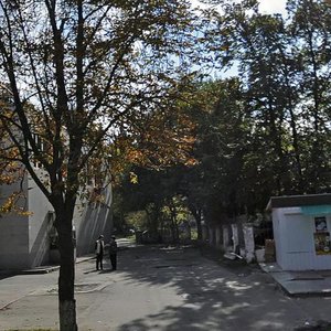 Heroiv Oborony Street, 8, Kyiv: photo