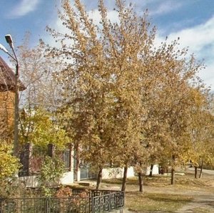 Ulitsa Lunacharskogo, 2Б, : foto
