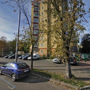 Saliutna Street, 1Б, Kyiv: photo