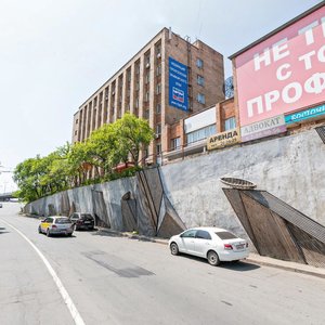 Vsevoloda Sibirtseva Street, 15, : foto