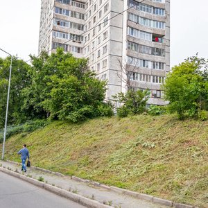 Владивосток, Улица Чкалова, 20: фото