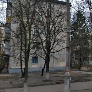 Heroiv Sevastopolia Street, 16, Kyiv: photo