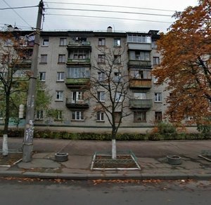 Yaltynska Street, 14, Kyiv: photo