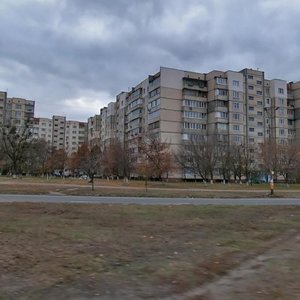 Akademika Korolova Avenue, 4, Kyiv: photo