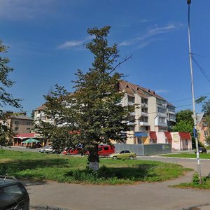 Stantsiina vulytsia, 10, Uzhhorod: photo