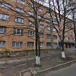 Metalistiv Street, 7, Kyiv: photo