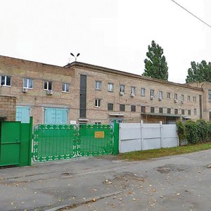 Mykoly Shepelieva Street, 2, : foto