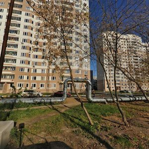 Novozavodskaya Street, 11, Himki: photo