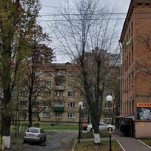 Mikhaila Boichuka Street, 18А, Kyiv: photo