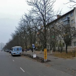 Heroiv Sevastopolia Street, 13 ، كييف: صورة
