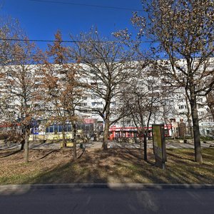 Lenina Street, 301, : foto