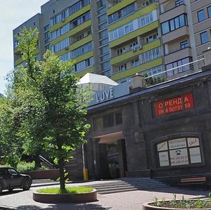 Lva Tolstoho Street, 33, Kyiv: photo