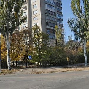 Vulytsia Zaporozkoho Kozatstva, 1, Zaporizhia: photo