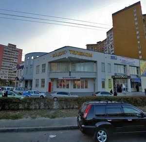 Mykhaila Hryshka Street, 6, Kyiv: photo