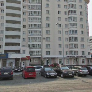 Furmanova Street, 123 ، يكاترينبورغ: صورة