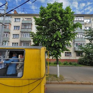 Kyivs'ka Street, 65, Zhytomyr: photo